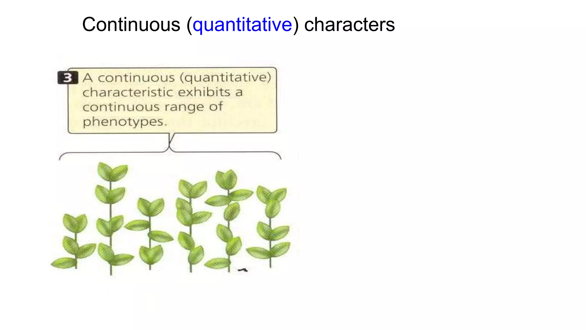 Continuous (quantitative) characters
 