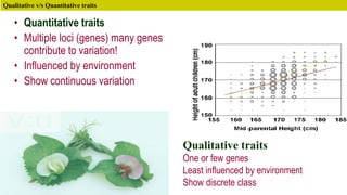 • Quantitative traits
• Multiple loci (genes) many genes
contribute to variation!
• Influenced by environment
• Show continuous variation
Qualitative traits
One or few genes
Least influenced by environment
Show discrete class
Qualitative v/s Quantitative traits
 