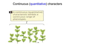 Continuous (quantitative) characters
 