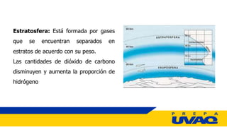 Estratosfera: Está formada por gases
que se encuentran separados en
estratos de acuerdo con su peso.
Las cantidades de dióxido de carbono
disminuyen y aumenta la proporción de
hidrógeno