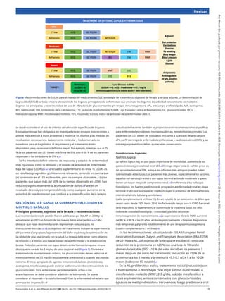 Revisar
Figura 5Recomendaciones de EULAR para el manejo de medicamentos SLΕ, estrategia de tratamiento, objetivos de terapia y terapia adjunta. La determinación de
la gravedad del LES se basa en (a) la afectación de los órganos principales o la enfermedad que amenaza los órganos; (b) actividad concomitante de múltiples
órganos no principales; y (c) la necesidad del uso de altas dosis de glucocorticoides y/o terapia inmunosupresora. aPL, anticuerpo antifosfolípido; AZA, azatioprina;
BEL, belimumab; CNI, inhibidores de la calcineurina; CYC, pulso de ciclofosfamida; EULAR, Liga Europea Contra el Reumatismo; GC, glucocorticoides; HCQ,
hidroxicloroquina; MMF, micofenolato mofetilo; RTX, rituximab; SLEDAI, índice de actividad de la enfermedad del LES.
se debe reconsiderar el uso de criterios de valoración específicos de órganos.
Estas advertencias han obligado a los investigadores en ensayos más recientes a
prestar más atención a estos problemas y modificar los diseños y las medidas de
resultado en consecuencia. La taxonomía molecular y los biomarcadores
novedosos para el diagnóstico, el seguimiento y el tratamiento están
disponibles, pero es necesario definirlos mejor. Por ejemplo, mientras que el 75
% de los pacientes con LES tienen una firma de IFN, solo el 50 % de los pacientes
responden a los inhibidores de IFN-a.36
Se ha intentado definir criterios de respuesta y estados de enfermedad
más rigurosos, como la remisión y el estado de actividad de enfermedad
baja del lupus (LLDAS)33 34 39(recuadro suplementario en línea 1). LLDAS es
un resultado pragmático y clínicamente relevante, teniendo en cuenta que
(a) la remisión en el LES es deseable, pero no siempre alcanzable, y (b) los
pacientes que pasan más del 50 % de su tiempo observado en LLDAS han
reducido significativamente la acumulación de daños.40Flare es un
resultado de ensayo emergente definido como cualquier aumento en la
actividad de la enfermedad que conduce a la intensificación de la terapia.
actualización reciente, también se proporcionaron recomendaciones específicas
para enfermedades cutáneas, neuropsiquiátricas, hematológicas y renales. Los
pacientes con LES deben ser evaluados en cuanto a su estado de anticuerpos
aPL, perfil de riesgo de enfermedades infecciosas y cardiovasculares (CVD), y las
estrategias preventivas deben ajustarse en consecuencia.
Consideraciones Especiales
Nefritis lúpica
La nefritis lúpica (NL) es una causa importante de morbilidad, aumento de los
gastos médicos y mortalidad en el LES.44El riesgo de por vida de nefritis grave es
de aproximadamente 20%, aunque los informes más antiguos pueden haber
sobrestimado estas tasas. Los pacientes más jóvenes, especialmente los varones,
aquellos con serología activa o con lupus no renal activo de moderado a grave,
tienen un mayor riesgo de compromiso renal.44En referencia a los hallazgos
histológicos, los fuertes predictores de progresión a enfermedad renal en etapa
terminal (ESRD, por sus siglas en inglés) incluyen la presencia de extensa fibrosis
intersticial/atrofia tubular y semilunas45
(tabla complementaria en línea S1). En un estudio de un solo centro de Milán que
revisó casos desde 1976 hasta 2016, los factores de riesgo para la ESRD fueron el
sexo masculino, la hipertensión, el aumento de la creatinina basal, los altos
índices de actividad histológica y cronicidad, y la falta de uso de
inmunosupresión de mantenimiento.46La supervivencia libre de ESRD aumentó
del 80 % al 90 % a los 20 años, atribuido principalmente a biopsias diagnósticas
más tempranas y al pronto establecimiento de una terapia inmunosupresora
(cuadro complementario 2 en línea).46
En las recomendaciones actualizadas de EULAR/European Renal
Association-European Dialysis and Transplant Association (ERA-EDTA)
de 2019 para NL,44el objetivo de la terapia se estableció como una
reducción de la proteinuria en ≥25 % con una tasa de filtración
glomerular estable (TFG; ±10 % del valor inicial) en los primeros 3
meses después del inicio del tratamiento; reducción en ≥50% de la
proteinuria a los 6 meses; y proteinuria <0,5-0,7 g/24 h a los 12-24
meses (todos con FG estable).47
En la NL proliferativa activa, tratamiento inicial (inducción) con
CY intravenoso a dosis bajas (500 mg × 6 dosis quincenales) o
micofenolato mofetilo (MMF; 2-3 g/día, o ácido micofenólico a
dosis equivalente), ambos combinados con glucocorticoides
( pulsos de metilprednisolona intravenosa, luego prednisona oral
GESTIÓN DEL SLE: GANAR LA GUERRA PREVALECIENDO EN
MÚLTIPLES BATALLAS
Principios generales, objetivos de la terapia y recomendaciones
Las recomendaciones de gestión fueron publicadas por EULAR en 2008 y se
actualizaron en 2019 en función de los nuevos datos emergentes.34 41Cabe
destacar que estas recomendaciones representan solo una guía, no
instrucciones estrictas.42 43Los objetivos del tratamiento incluyen la supervivencia
del paciente a largo plazo, la prevención del daño orgánico y la optimización de
la calidad de vida relacionada con la salud. La terapia debe tener como objetivo
la remisión o al menos una baja actividad de la enfermedad y la prevención de
brotes. Todos los pacientes con lupus deben recibir hidroxicloroquina, en una
dosis que no exceda los 5 mg/kg de peso corporal real (Figura 5). Durante el
tratamiento de mantenimiento crónico, los glucocorticoides deben reducirse al
mínimo a menos de 7,5 mg/día (equivalente a prednisona) y, cuando sea posible,
retirarse. El inicio apropiado de agentes inmunomoduladores (metotrexato,
azatioprina, micofenolato) puede acelerar la disminución/discontinuación de los
glucocorticoides. En la enfermedad persistentemente activa o con
exacerbaciones, se debe considerar la adición de belimumab; Se puede
considerar el rituximab o la ciclofosfamida (CY) en la enfermedad refractaria que
amenaza los órganos. En el
Fanouriakis A,et al. Ann Rheum dis2021;80:14–25. doi:10.1136/annrheumdis-2020-218272 19
Ann
Rheum
Dis:
publicado
por
primera
vez
como
10.1136/annrheumdis-2020-218272
el
13
de
octubre
de
2020.
Descargado
dehttp://ard.bmj.com/el
22
de
mayo
de
2022
por
invitado.
Protegido
por
derechos
de
autor.
 