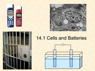 14.1 Cells and Batteries
 