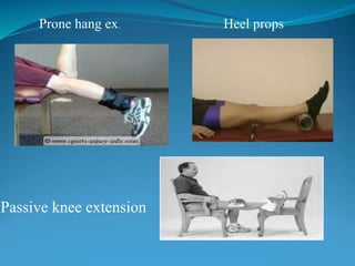 Prone hang ex. Heel props
Passive knee extension
 