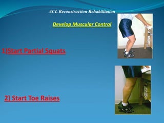 ACL Reconstruction Rehabilitation
Develop Muscular Control
1)Start Partial Squats.
2) Start Toe Raises.
 