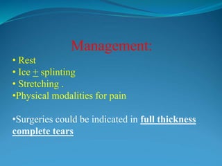 Management:
• Rest
• Ice + splinting
• Stretching .
•Physical modalities for pain
•Surgeries could be indicated in full thickness
complete tears
 