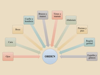 ORDEN
Ojos
Cara
Boca
Cuello y
hombros
Brazos y
manos
Tórax y
mamas
Abdomen
Piernas y
pies
Región
genital
Espalda y
glúteos
 