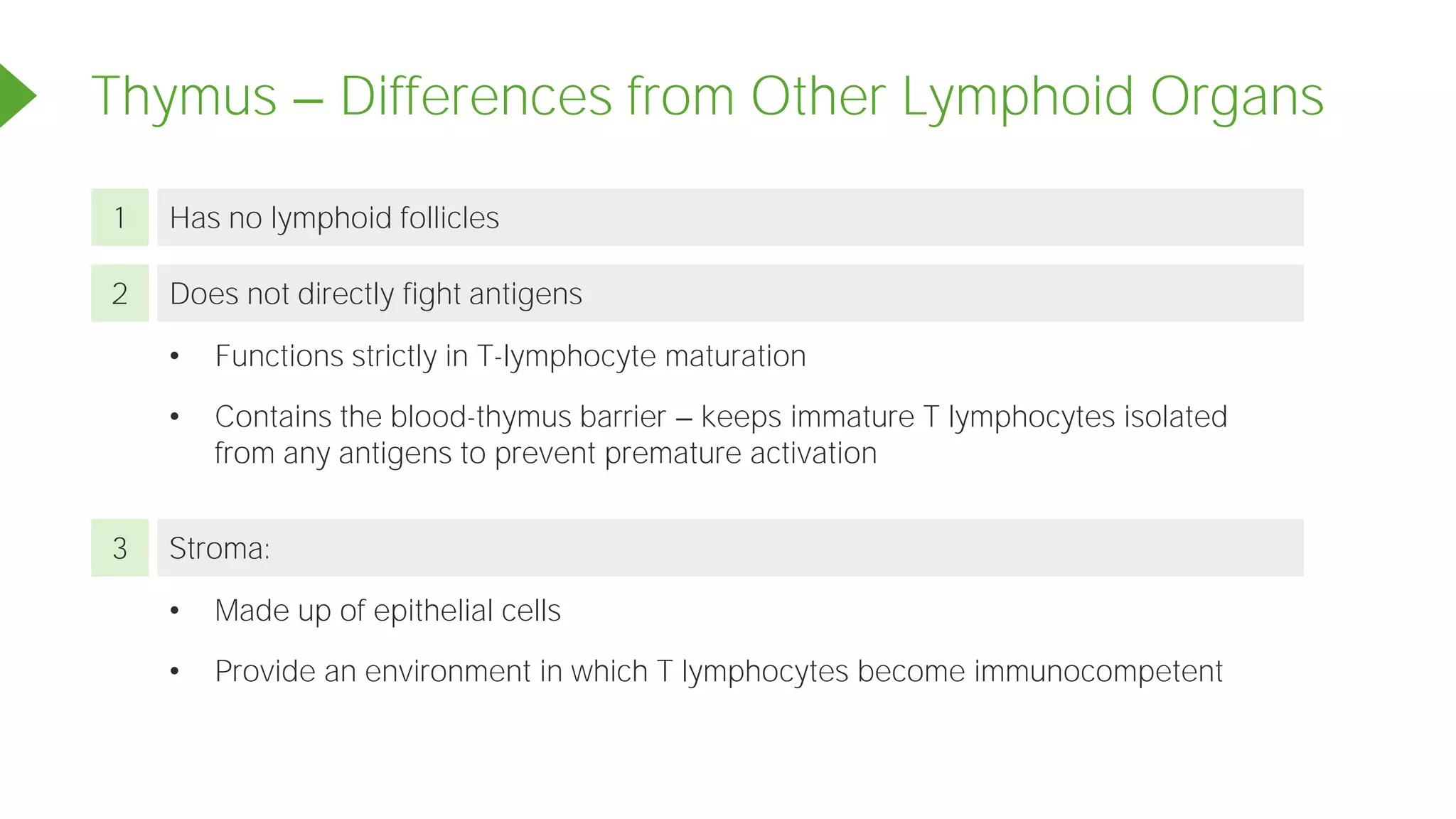 Thymus Differences from Other Lymphoid Organs
Has no lymphoid follicles
1
Stroma:
3
• Made up of epithelial cells
• Provide an environment in which T lymphocytes become immunocompetent
Does not directly fight antigens
2
• Functions strictly in T-lymphocyte maturation
• Contains the blood-thymus barrier keeps immature T lymphocytes isolated
from any antigens to prevent premature activation
 