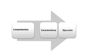 Lineamientos Características Ejecución
 