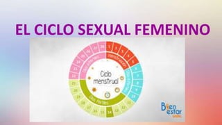 EL CICLO SEXUAL FEMENINO
 