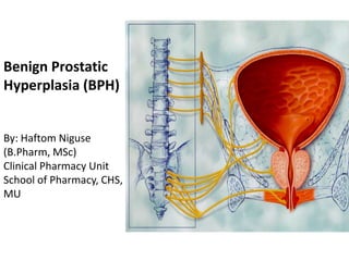 Benign Prostatic
Hyperplasia (BPH)
By: Haftom Niguse
(B.Pharm, MSc)
Clinical Pharmacy Unit
School of Pharmacy, CHS,
MU
 