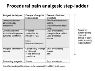 14. Burn Pain_Edt 7th.ppt