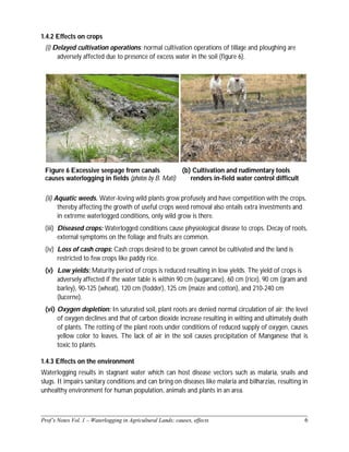 ______________________________________________________________________________
Prof’s Notes Vol. 1 – Waterlogging in Agricultural Lands; causes, effects 6
1.4.2 Effects on crops
(i) Delayed cultivation operations: normal cultivation operations of tillage and ploughing are
adversely affected due to presence of excess water in the soil (figure 6).
Figure 6 Excessive seepage from canals
causes waterlogging in fields (photos by B. Mati)
(b) Cultivation and rudimentary tools
renders in-field water control difficult
(ii) Aquatic weeds. Water-loving wild plants grow profusely and have competition with the crops,
thereby affecting the growth of useful crops weed removal also entails extra investments and
in extreme waterlogged conditions, only wild grow is there.
(iii) Diseased crops: Waterlogged conditions cause physiological disease to crops. Decay of roots,
external symptoms on the foliage and fruits are common.
(iv) Loss of cash crops: Cash crops desired to be grown cannot be cultivated and the land is
restricted to few crops like paddy rice.
(v) Low yields: Maturity period of crops is reduced resulting in low yields. The yield of crops is
adversely affected if the water table is within 90 cm (sugarcane), 60 cm (rice), 90 cm (gram and
barley), 90-125 (wheat), 120 cm (fodder), 125 cm (maize and cotton), and 210-240 cm
(lucerne).
(vi) Oxygen depletion: In saturated soil, plant roots are denied normal circulation of air; the level
of oxygen declines and that of carbon dioxide increase resulting in wilting and ultimately death
of plants. The rotting of the plant roots under conditions of reduced supply of oxygen, causes
yellow color to leaves. The lack of air in the soil causes precipitation of Manganese that is
toxic to plants.
1.4.3 Effects on the environment
Waterlogging results in stagnant water which can host disease vectors such as malaria, snails and
slugs. It impairs sanitary conditions and can bring on diseases like malaria and bilharzias, resulting in
unhealthy environment for human population, animals and plants in an area.
 