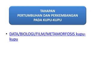 • DATA/BIOLOGI/FILM/METAMORFOSIS kupu-
kupu
TAHAPAN
PERTUMBUHAN DAN PERKEMBANGAN
PADA KUPU-KUPU
 