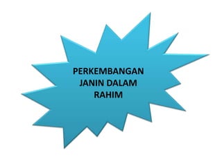 PERKEMBANGAN
JANIN DALAM
RAHIM
 