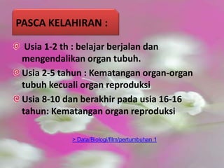 Usia 1-2 th : belajar berjalan dan
mengendalikan organ tubuh.
Usia 2-5 tahun : Kematangan organ-organ
tubuh kecuali organ reproduksi
Usia 8-10 dan berakhir pada usia 16-16
tahun: Kematangan organ reproduksi
PASCA KELAHIRAN :
> Data/Biologi/film/pertumbuhan 1
 