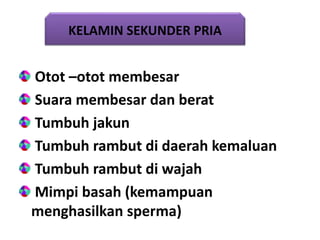 Otot –otot membesar
Suara membesar dan berat
Tumbuh jakun
Tumbuh rambut di daerah kemaluan
Tumbuh rambut di wajah
Mimpi basah (kemampuan
menghasilkan sperma)
KELAMIN SEKUNDER PRIA
 