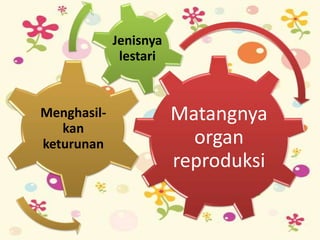 Matangnya
organ
reproduksi
Menghasil-
kan
keturunan
Jenisnya
lestari
 