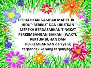 PERHATIKAN GAMBAR MAHKLUK
HIDUP BERIKUT DAN URUTKAN
MEREKA BERDASARKAN TINGKAT
PERKEMBANGAN BIAKAN (WAKTU
PERTUMBUHAN DAN
PERKEMBANGAN dari yang
terpendek ke yang terpanjang)
 