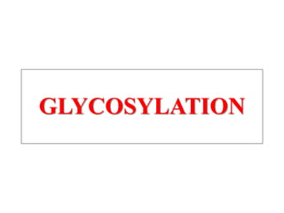 GLYCOSYLATION
 