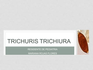 RESIDENTE DE PEDIATRIA
MARIANA ROJAS FLORES
TRICHURIS TRICHIURA
 