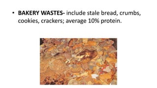 • BAKERY WASTES- include stale bread, crumbs,
cookies, crackers; average 10% protein.
 