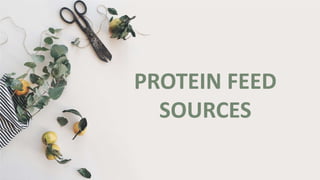 PROTEIN FEED
SOURCES
 