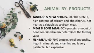 ANIMAL BY- PRODUCTS
• TANKAGE & MEAT SCRAPS- 50-60% protein,
high content of calcium and phosphorus , not
near as palatable as soybean meal.
• MEAT & BONE MEAL- 50% protein, amount of
bone contained in mix determines the feeding
value.
• FISH MEAL- 60-70% protein, excellent quality,
hugh in minerals and vitamins and is very
palatable, but expensive.
 