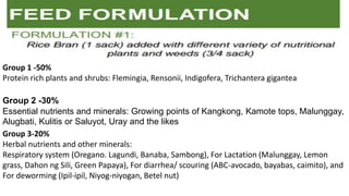 Group 1 -50%
Protein rich plants and shrubs: Flemingia, Rensonii, Indigofera, Trichantera gigantea
Group 2 -30%
Essential nutrients and minerals: Growing points of Kangkong, Kamote tops, Malunggay,
Alugbati, Kulitis or Saluyot, Uray and the likes
Group 3-20%
Herbal nutrients and other minerals:
Respiratory system (Oregano. Lagundi, Banaba, Sambong), For Lactation (Malunggay, Lemon
grass, Dahon ng Sili, Green Papaya), For diarrhea/ scouring (ABC-avocado, bayabas, caimito), and
For deworming (Ipil-ipil, Niyog-niyogan, Betel nut)
 