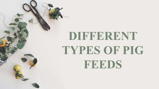 DIFFERENT
TYPES OF PIG
FEEDS
 