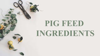 PIG FEED
INGREDIENTS
 