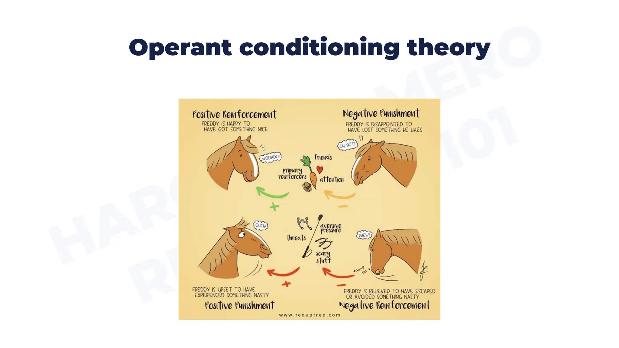Operant conditioning theory
 
