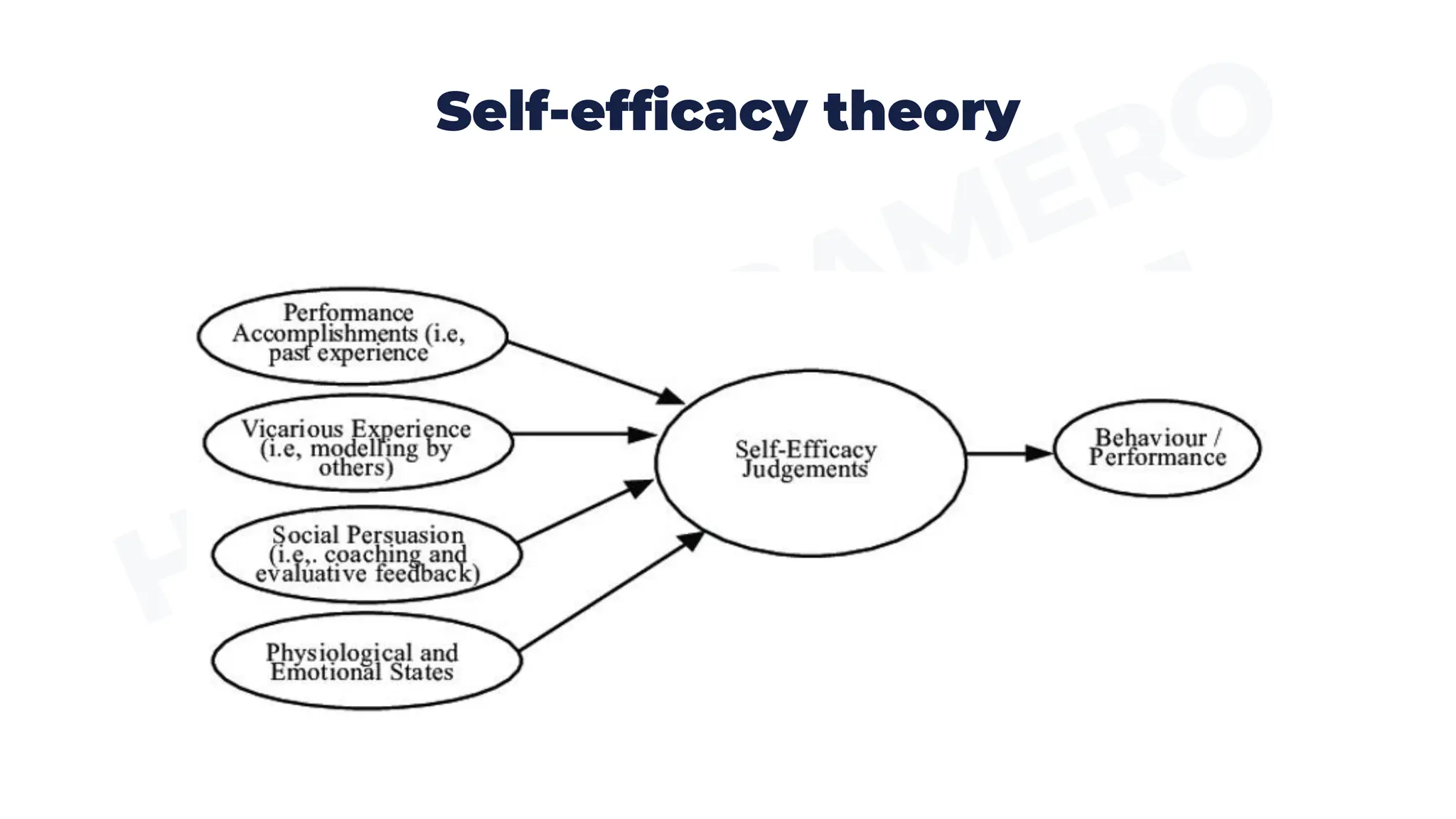 Self-efficacy theory
 