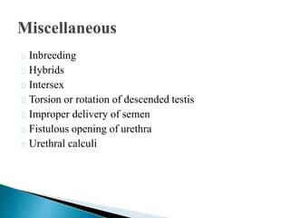 Causes of male infertility in cattle bull-.pptx