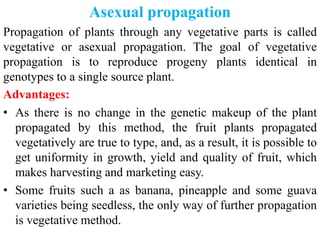 Plant propagation: Sexual and Asexual propapagation.pptx