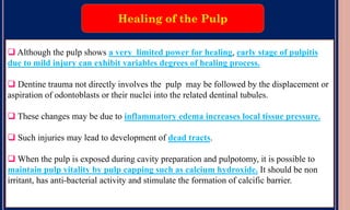 14. Pulp and Periapical Diseases. .pdf
