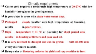 Climatic requirement
 Castor crop requires a moderately high temperature of 20-27oC with low
humidity throughout the growing season.
 It grows best in areas with clean warm sunny days.
 Prolonged cloudy weather with high temperature at flowering
results in poor seed set.
 High temperature > 41 oC at flowering for short period also
results in blasting of flowers and poor seed set.
 It is very resistant to drought and can be grown with 80-100 mm
evenly distributed rainfall.
 Heavy rains at flowering reduces the yield and very sensitive to frost
 