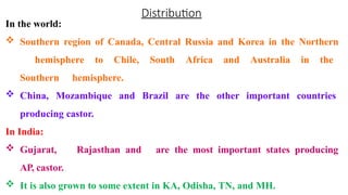 Distribution
In the world:
 Southern region of Canada, Central Russia and Korea in the Northern
hemisphere to Chile, South Africa and Australia in the
Southern hemisphere.
 China, Mozambique and Brazil are the other important countries
producing castor.
In India:
 Gujarat, Rajasthan and
AP, castor.
are the most important states producing
 It is also grown to some extent in KA, Odisha, TN, and MH.
 