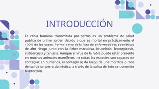 Comprehensive Overview of Rabies: Transmission, Symptoms, and Medical ...