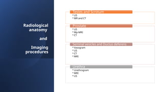 Vasogram 14. Male genital tract radiology anatomy.pptx