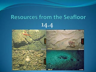 Resources from the Seafloor 14.4 