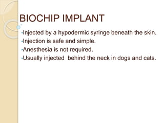 BIOCHIP IMPLANT
•Injected by a hypodermic syringe beneath the skin.
•Injection is safe and simple.
•Anesthesia is not required.
•Usually injected behind the neck in dogs and cats.
 