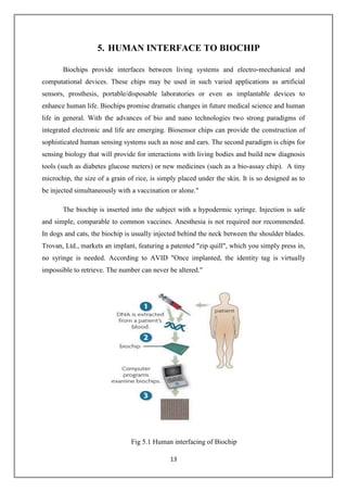 13
5. HUMAN INTERFACE TO BIOCHIP
Biochips provide interfaces between living systems and electro-mechanical and
computational devices. These chips may be used in such varied applications as artificial
sensors, prosthesis, portable/disposable laboratories or even as implantable devices to
enhance human life. Biochips promise dramatic changes in future medical science and human
life in general. With the advances of bio and nano technologies two strong paradigms of
integrated electronic and life are emerging. Biosensor chips can provide the construction of
sophisticated human sensing systems such as nose and ears. The second paradigm is chips for
sensing biology that will provide for interactions with living bodies and build new diagnosis
tools (such as diabetes glucose meters) or new medicines (such as a bio-assay chip). A tiny
microchip, the size of a grain of rice, is simply placed under the skin. It is so designed as to
be injected simultaneously with a vaccination or alone."
The biochip is inserted into the subject with a hypodermic syringe. Injection is safe
and simple, comparable to common vaccines. Anesthesia is not required nor recommended.
In dogs and cats, the biochip is usually injected behind the neck between the shoulder blades.
Trovan, Ltd., markets an implant, featuring a patented "zip quill", which you simply press in,
no syringe is needed. According to AVID "Once implanted, the identity tag is virtually
impossible to retrieve. The number can never be altered."
Fig 5.1 Human interfacing of Biochip
 