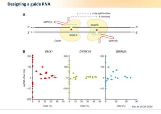 CRISPR - gene-editing for everyone | PPTX