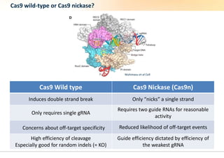 CRISPR - gene-editing for everyone | PPTX