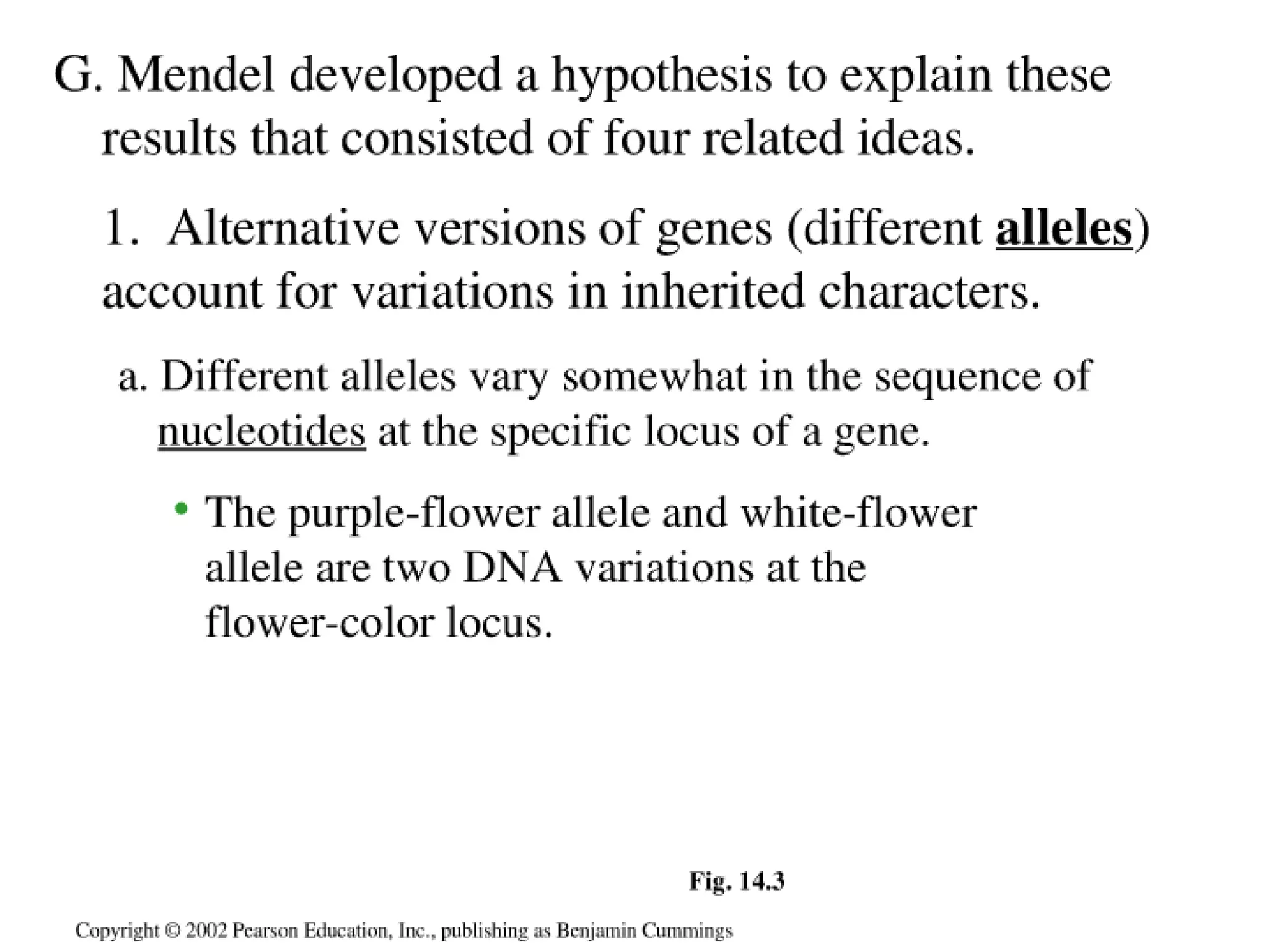 14 A Grgor Mendals Discovries
