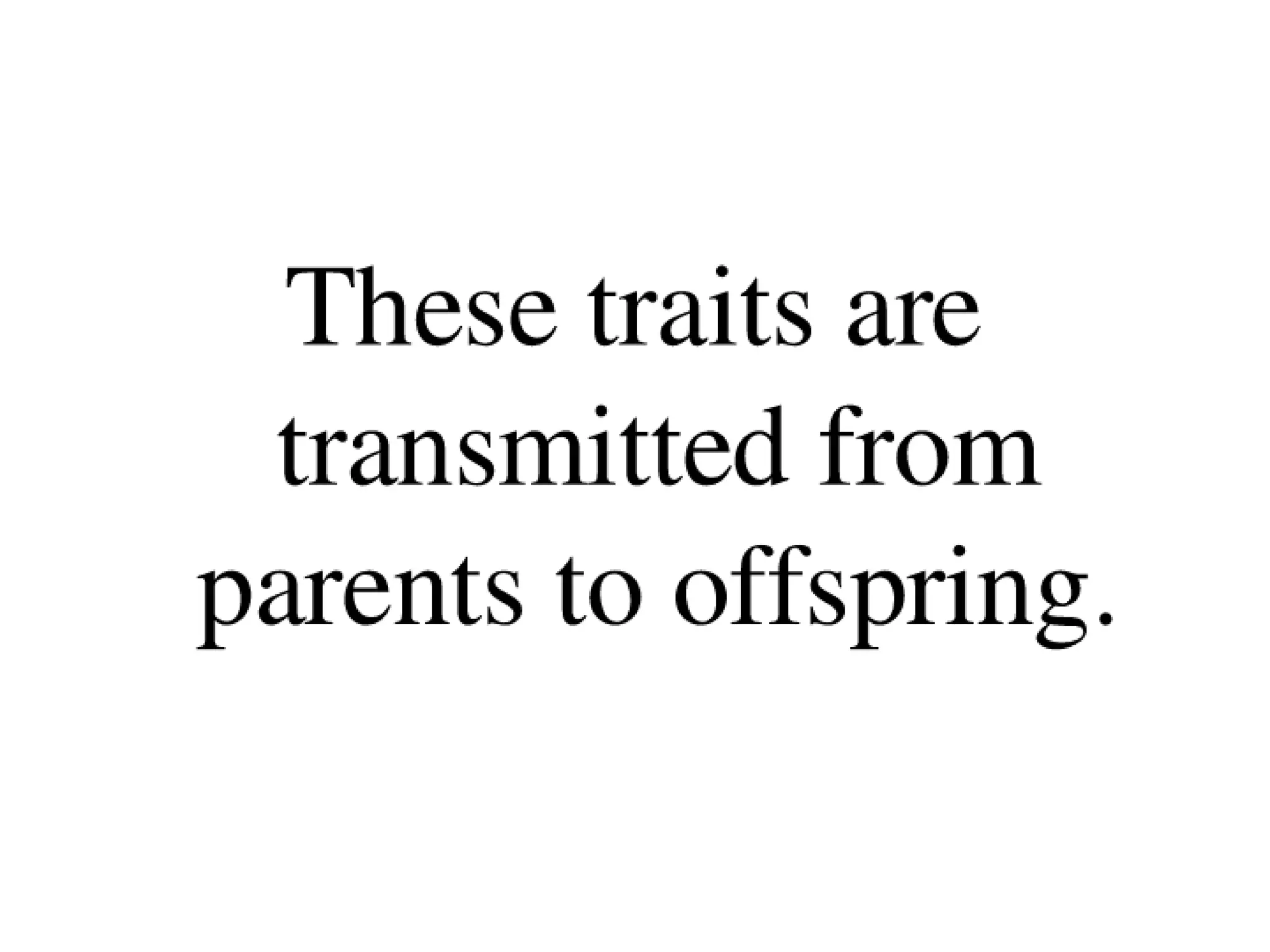 14 A Grgor Mendals Discovries