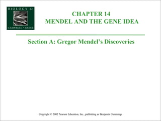 CHAPTER 14  MENDEL AND THE GENE IDEA Copyright © 2002 Pearson Education, Inc., publishing as Benjamin Cummings Section A: Gregor Mendel’s Discoveries 