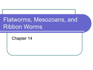 Flatworms, Mesozoans, and
Ribbon Worms
  Chapter 14
 