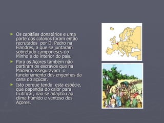 Os capitães donatários e uma parte dos colonos foram então recrutados  por D. Pedro na Flandres, a que se juntaram sobretudo camponeses do Minho e do interior do país.  Para os Açores também não partiram os escravos que na Madeira asseguravam  o funcionamento dos engenhos da cana do açúcar. Isto porque tendo  esta espécie, que dependia do calor para frutificar, não se adaptou ao clima húmido e ventoso dos Açores. 