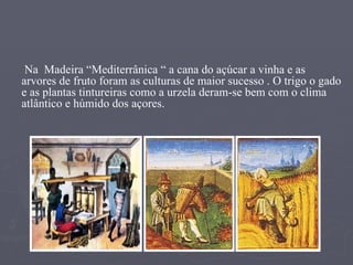 Na  Madeira “Mediterrânica “ a cana do açúcar a vinha e as arvores de fruto foram as culturas de maior sucesso . O trigo o gado e as plantas tintureiras como a urzela deram-se bem com o clima atlântico e húmido dos açores.   